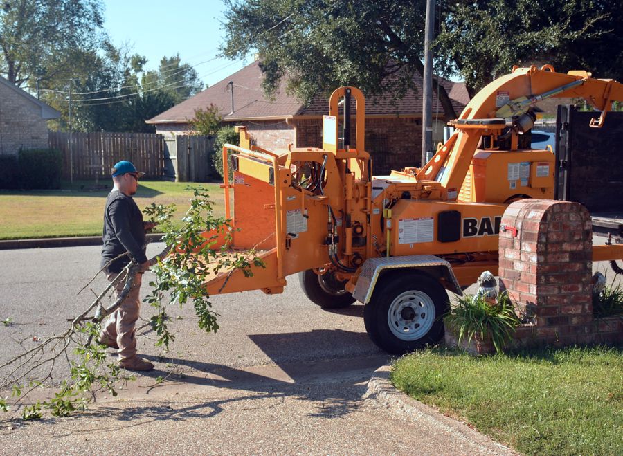 Wood chipper processing brush and branches