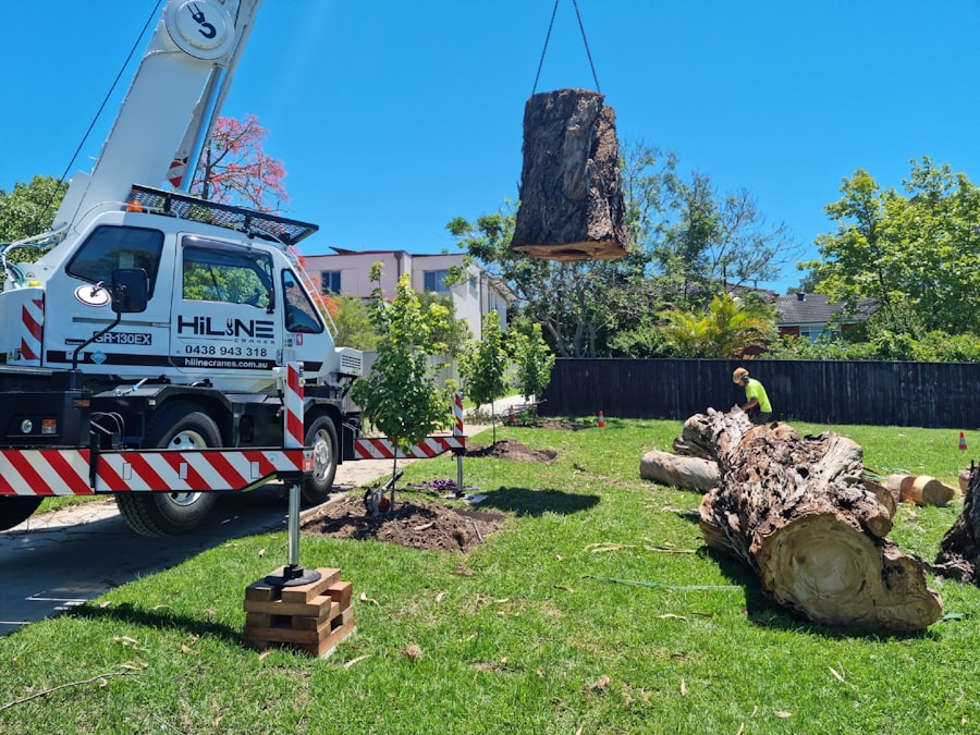 Crane assisting with a large tree removal