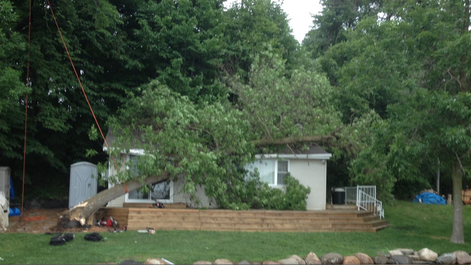 Storm-damaged tree fallen onto a house roof