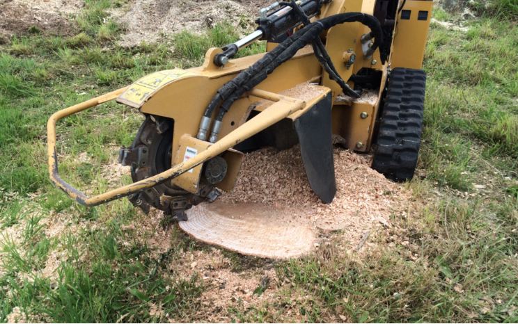 Stump grinder removing a tree stump