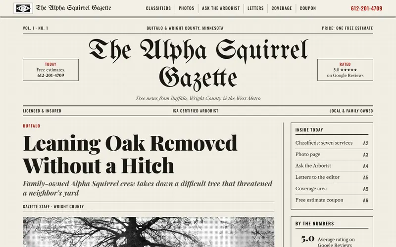 Preview of the Newspaper theme